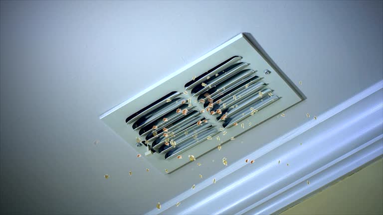 Best Local Air Duct Cleaning Services  in Fort Myers, FL