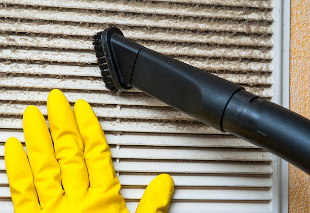 Best Air Duct Inspection  in Fort Myers, FL